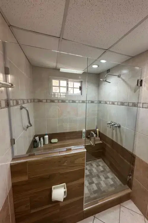 Puertas de Ducha de Vidrio Abatible